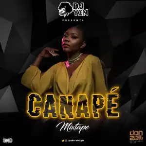 DJ Yin - Canapé (Mix)